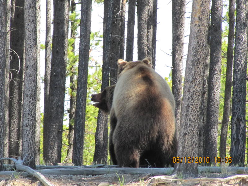 19.jpg