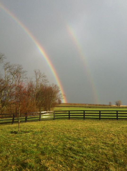 Double Rainbow pic by my friend Tomi Lee Sadler