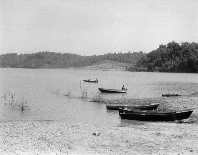 Aligator_Creek_Ferry.jpg