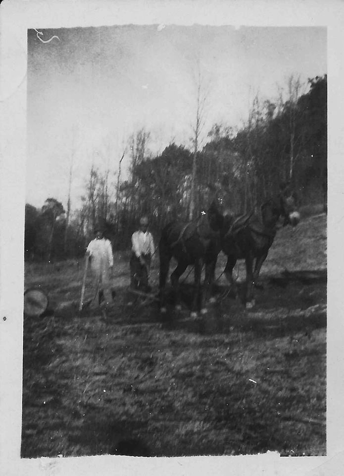 from 9-11 TW his grandpa wright on left logging in Pumpkin Creek.jpg