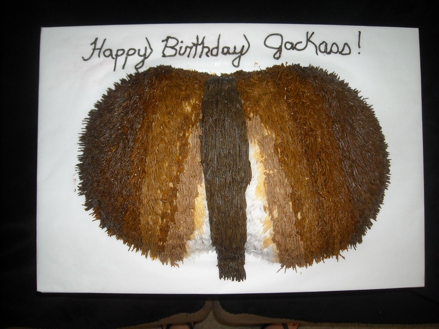 Spare B-day_cake_jackass_1.jpg