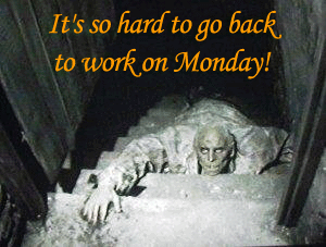 its-so-hard-to-go-back-to-work-on-monday.gif