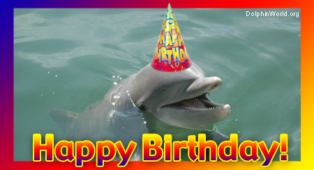 dolphin-birthday.jpg