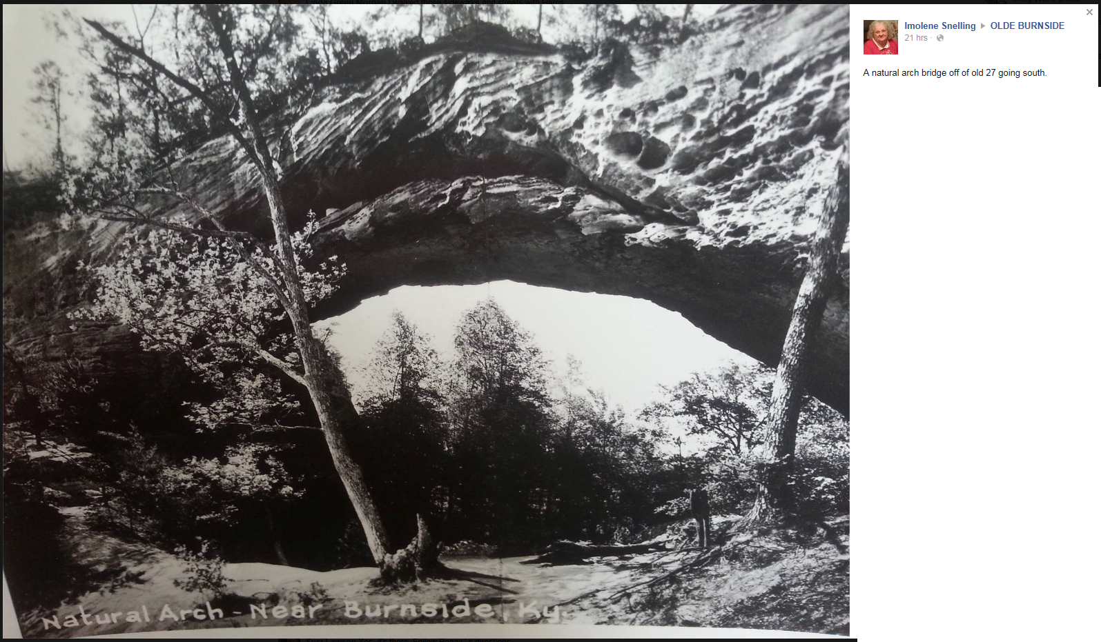 Olde Burnside Arch.png