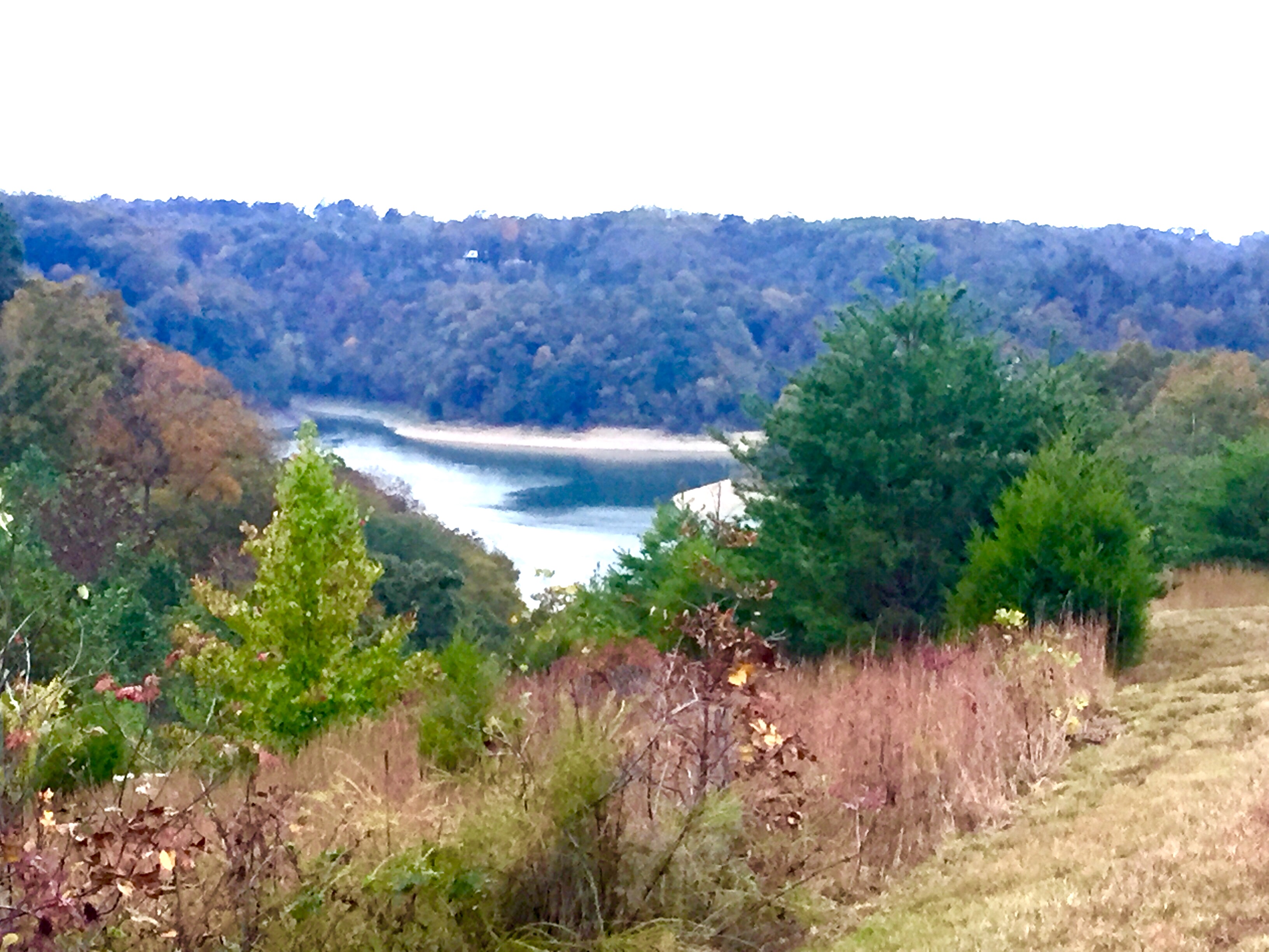 #LAKECUMBERLAND LAKE VIEW<br />Online Only - Near Alligator Dock &amp; KOA<br />NO RESERVE ABSOLUTE <br />REAL ESTATE AUCTION<br />Ending Tuesday November 29th at Approx. 6 pm CST.<br /><br />Lake View Lot on Beautiful Lake Cumberland, being Lot  #75 of the gated Parks Ridge Development. Lot Features 1.09 Acres m/l and corners at the Corps of Engineers Lake Boundary. Property offers blacktop street frontage on a private cul-de-sac, plus community amenities including golf putting green and playground area.<br /><br />Auction held for Francis and Polly Comtois<br /><br />Visit our Website at http://goldenruleauction.com/auction-details.php?id=135 for more information, or give us a call @ 270-866-6600. Chris Wilson Auctioneer!