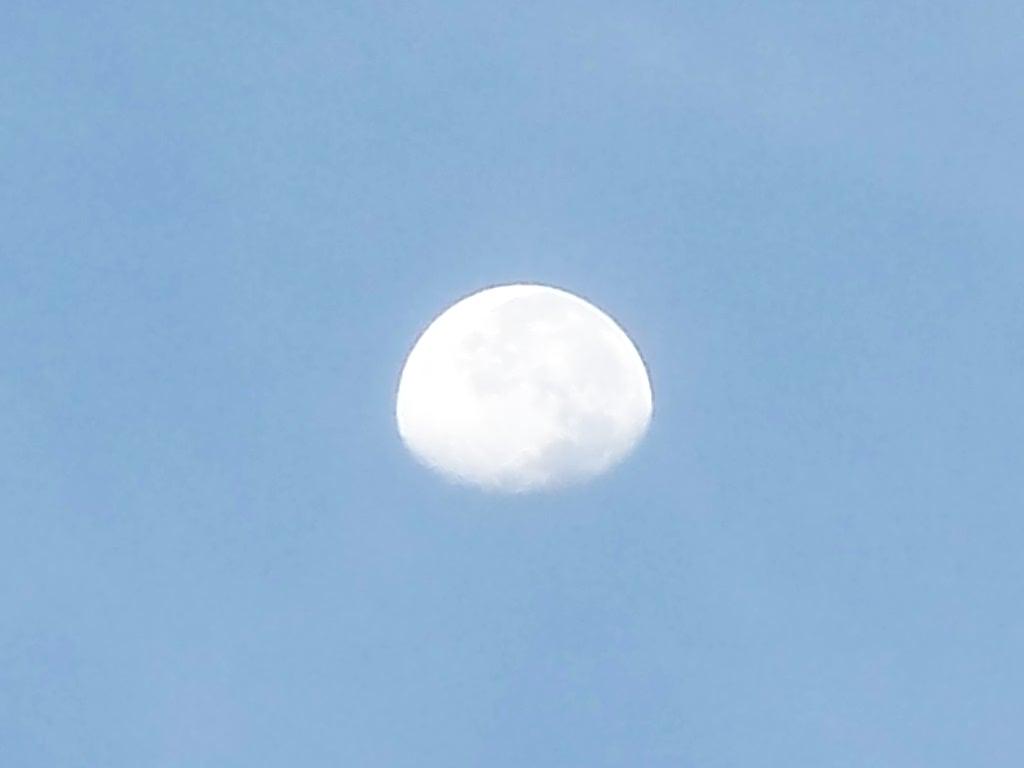 100_0583 Moon Set over Lake Cumberland 1.JPG